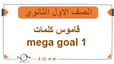 قاموس كلمات mega goal 1